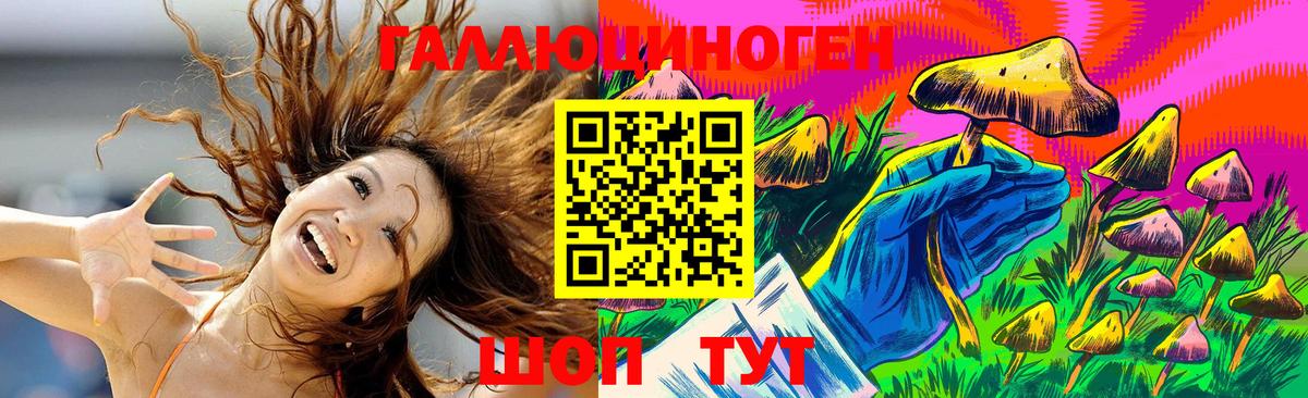 Галлюциногенные грибы Psilocybine cubensis Заинск