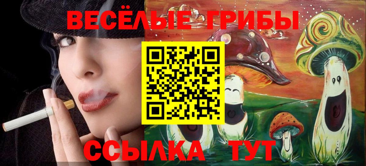 Псилоцибиновые грибы мухоморы  Вход с VPN  Заинск 